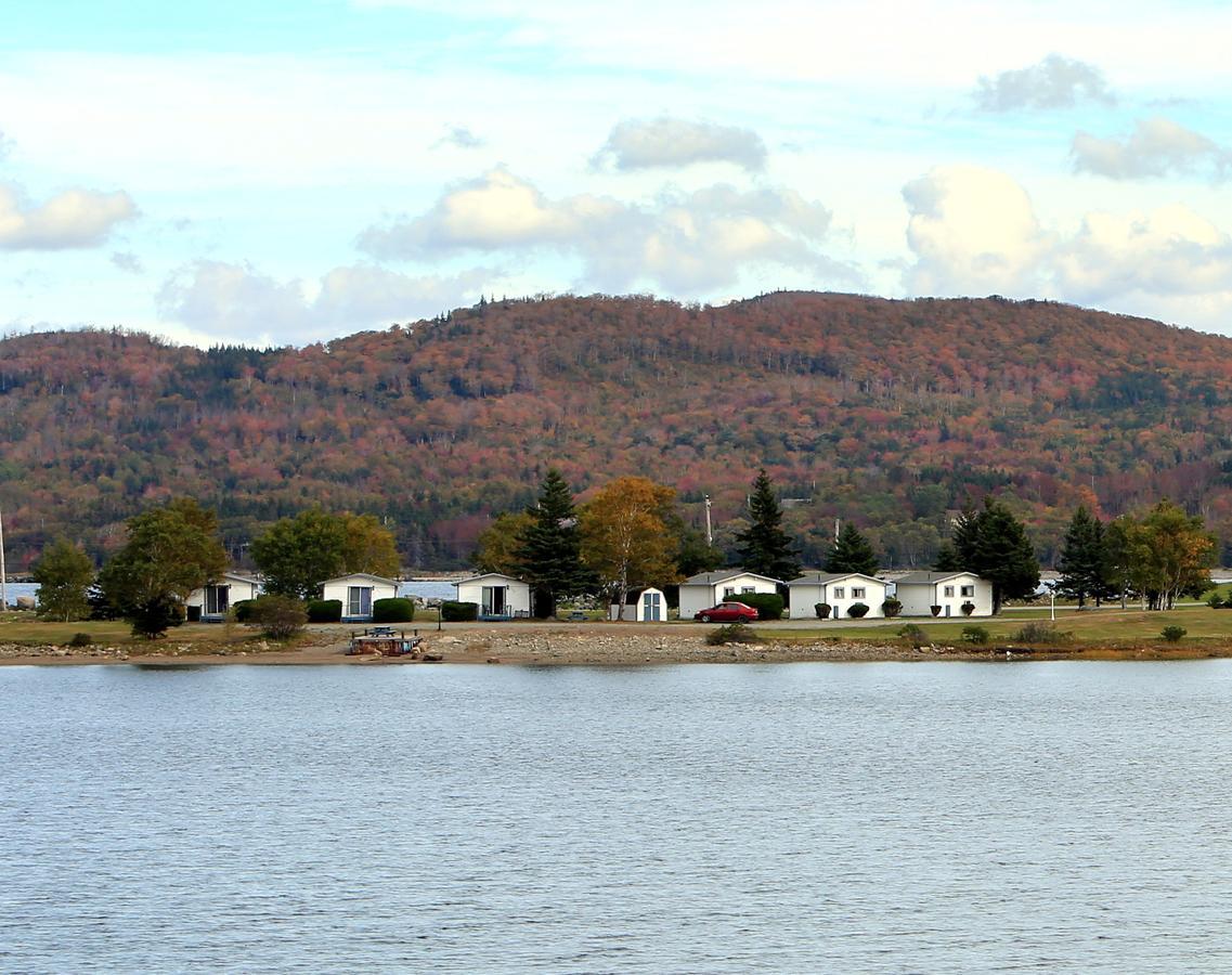 The Cove Motel Aulds Cove Szoba fotó